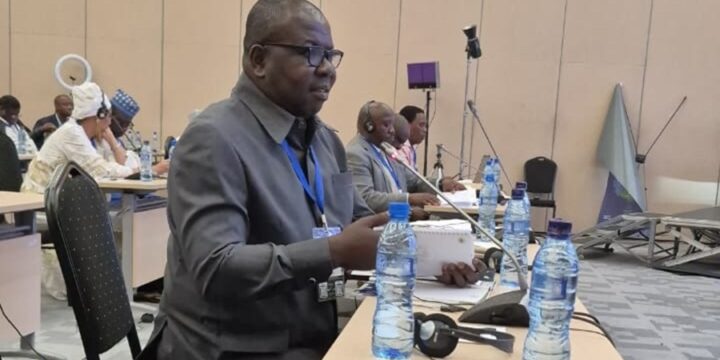 Frank Asiedu Bekoe pushes for parliamentary budget offices, calls for stronger fiscal institutions across Africa